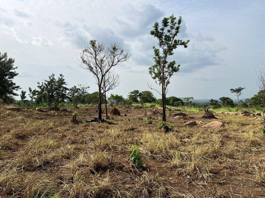 Photo of degraded and deforested landscape in Kwahu.jpeg