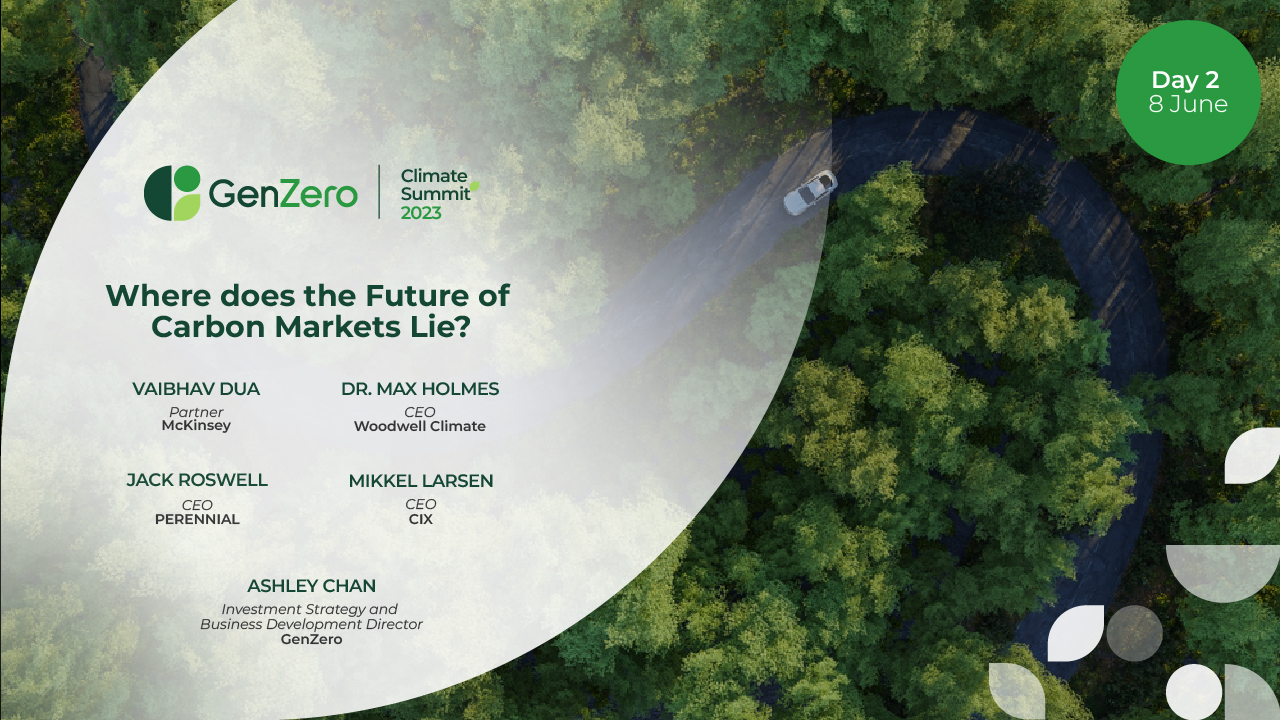 Day 2 - Where Does the Future of Carbon Markets Lie?
