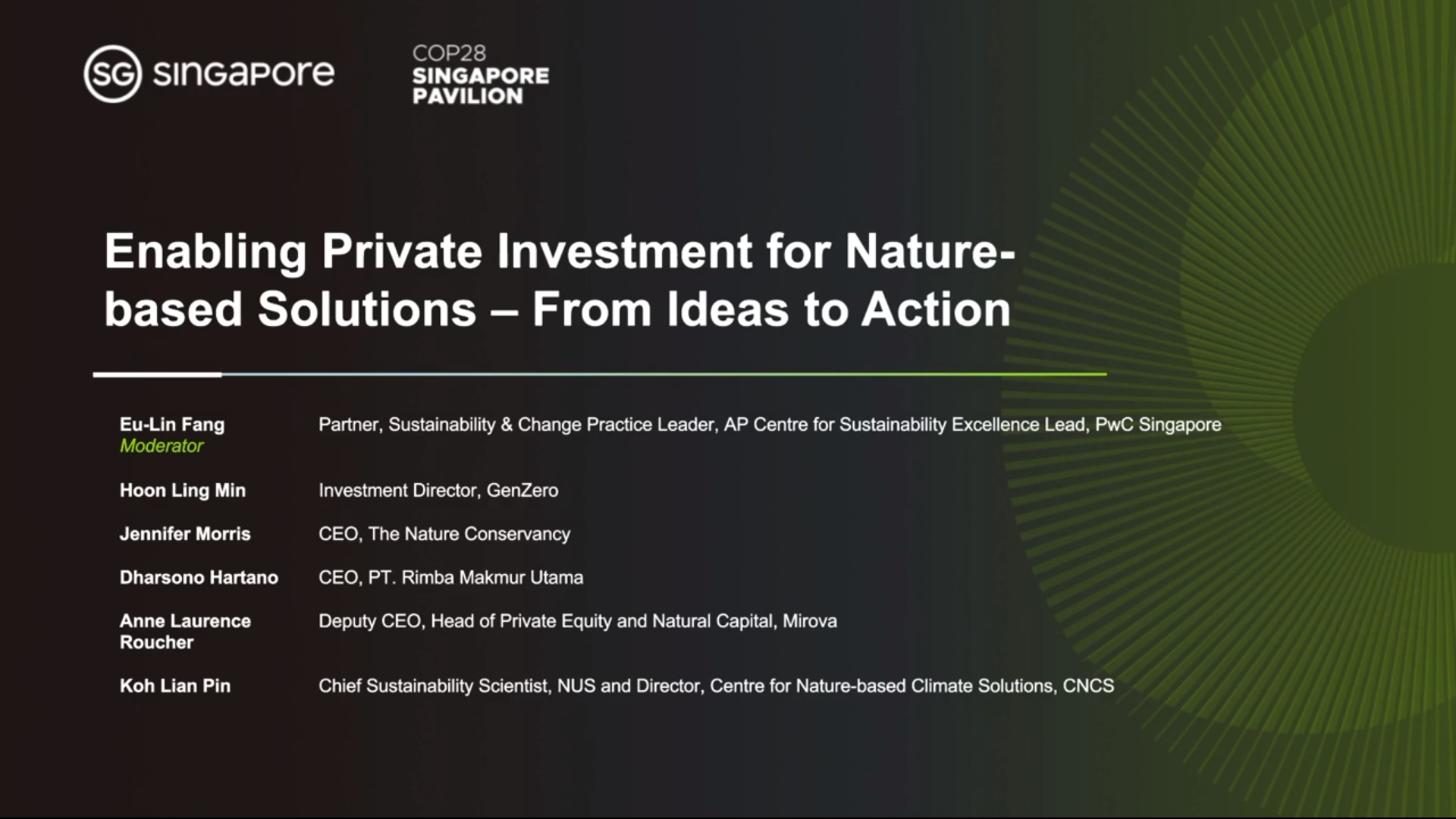 Enabling Private Investment for Nature-based Solutions - From Ideas to Action