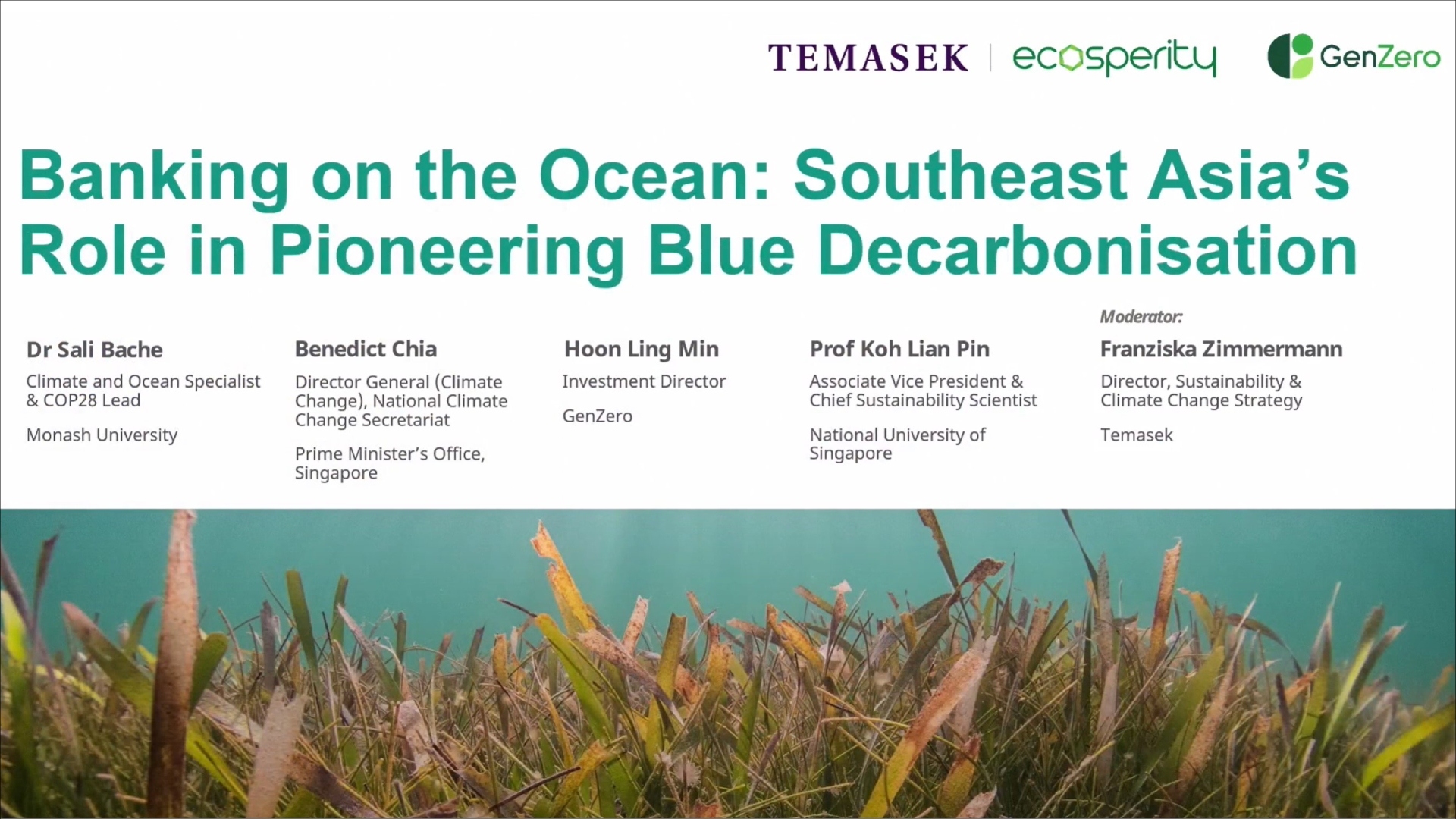 Banking on the Ocean: Southeast Asia's Role in Pioneering Blue Decarbonisation