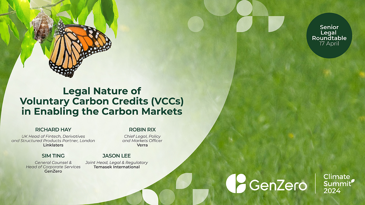 Legal Nature of Voluntary Carbon Credits