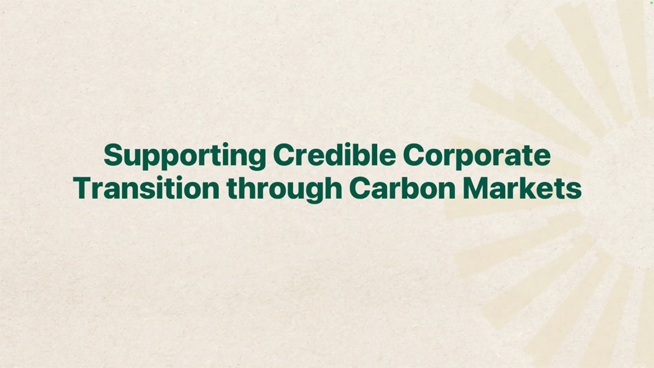 Supporting Credible Corporate Transition through Carbon Markets
