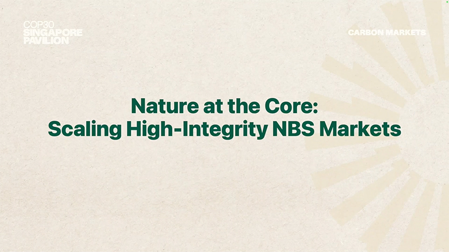 Nature at the Core: Scaling High-integrity Nature-based Solutions