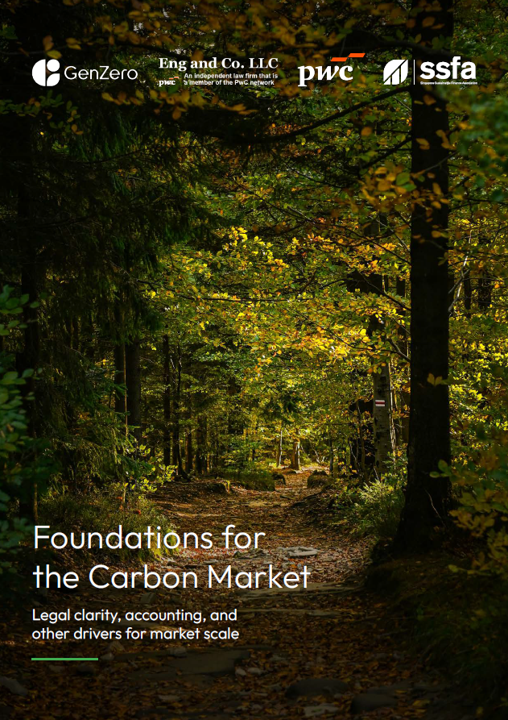Foundations for the Carbon Market report