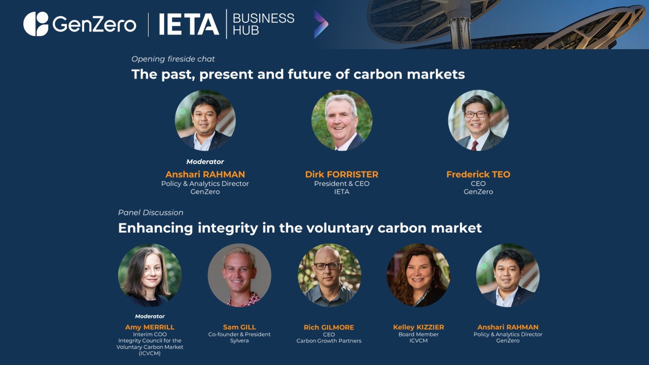 Carbon Markets: Past, Present, Future