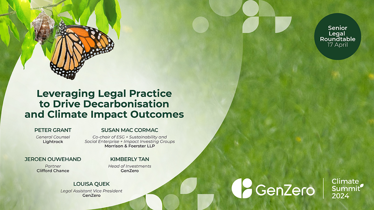 Leveraging Legal Pratice to Drive Decarbonisation