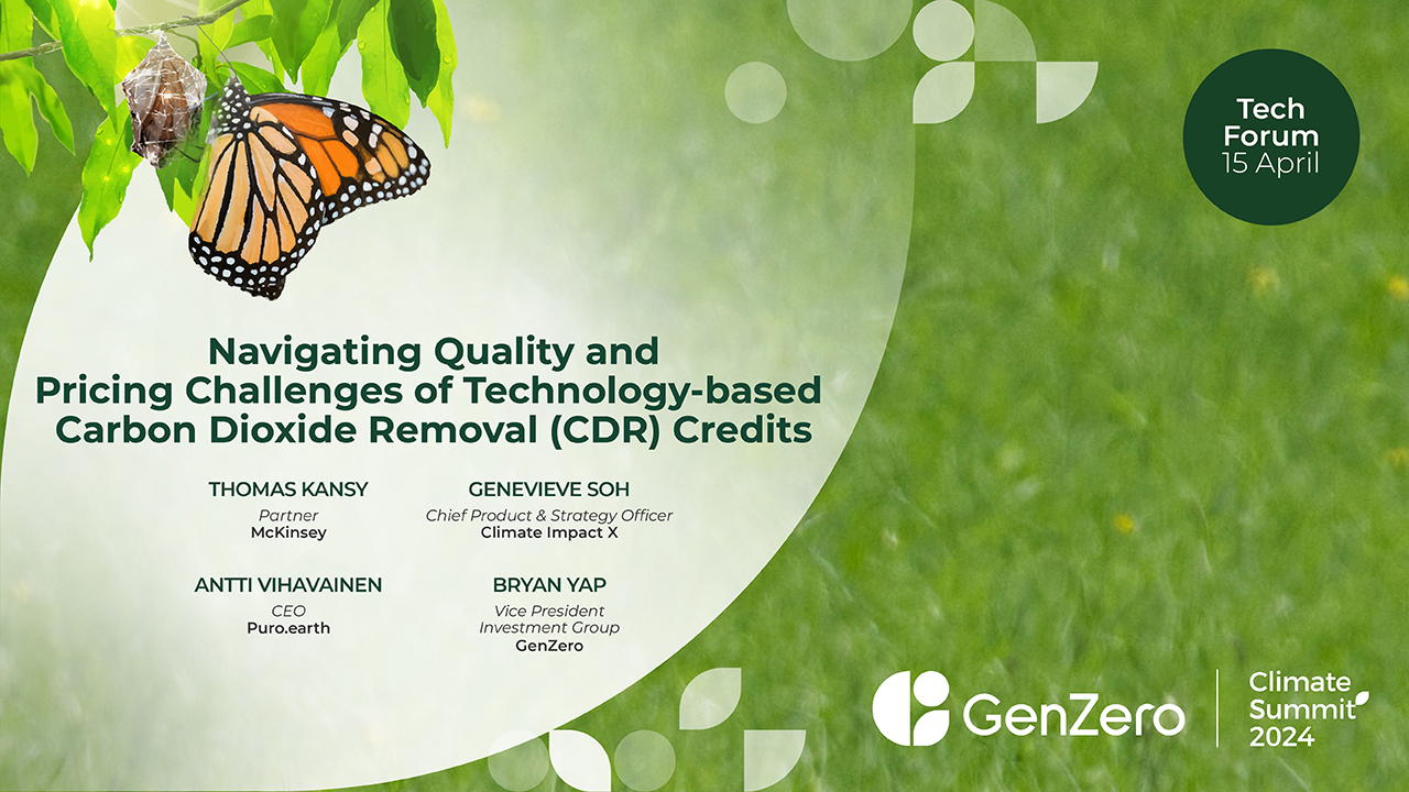 Navigating Quality and Pricing Challenges of Technology based Carbon Dioxide Removal (CDR) Credits