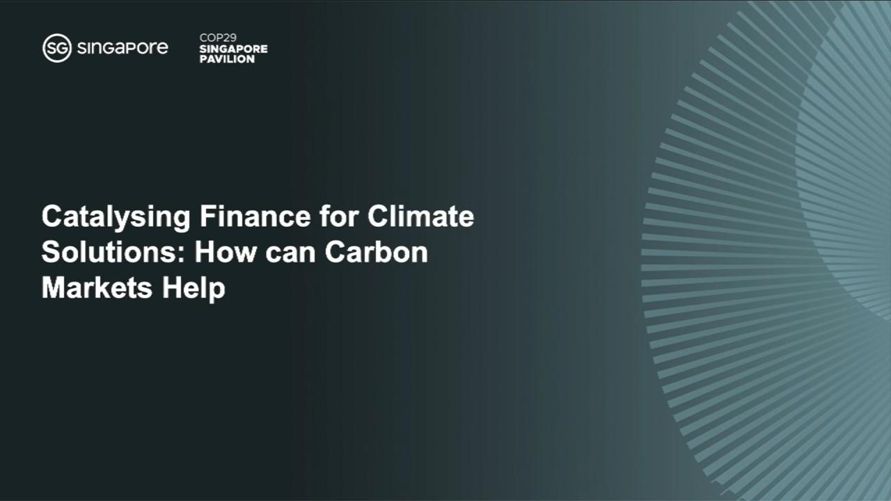 Catalysing Finance for Climate Solutions: How can Carbon Markets Help