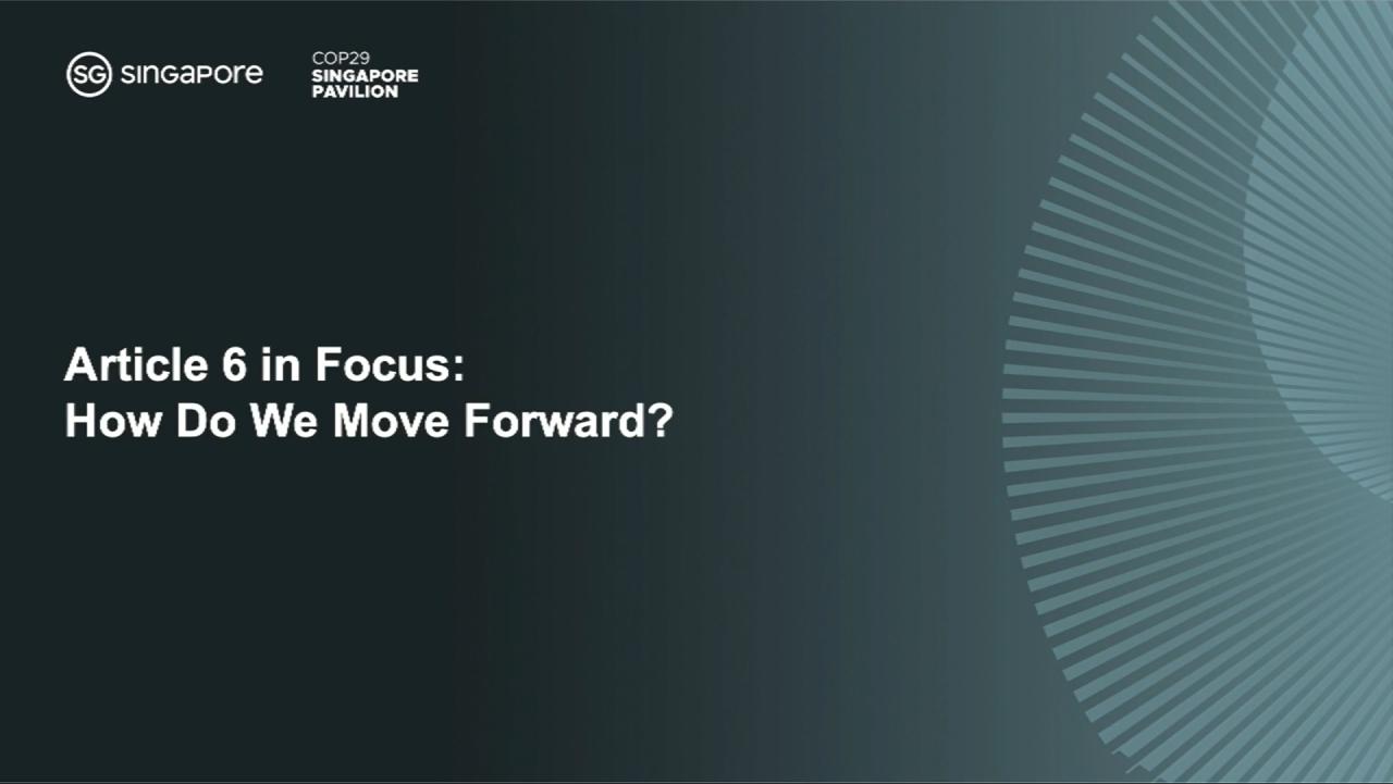 Article 6 in Focus: How Do We Move Forward?