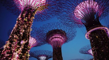 Event – The Earthshot Prize Event - The Earthshot Prize