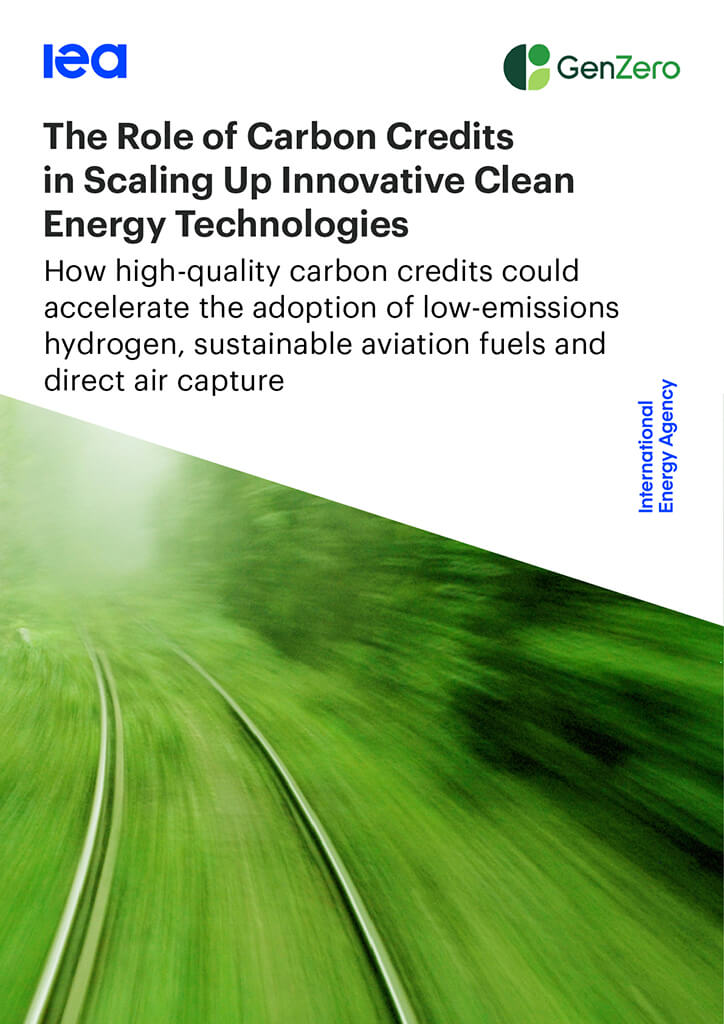 The Role of Carbon Credits in Scaling Up Innovative Clean Energy Technologies 1 The Role of Carbon Credits in Scaling Up Innovative Clean Energy Technologies 1