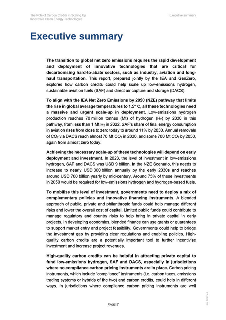 The Role of Carbon Credits in Scaling Up Innovative Clean Energy Technologies 7 The Role of Carbon Credits in Scaling Up Innovative Clean Energy Technologies 7